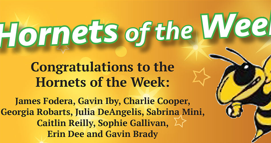 Hornets of the Week featured December 21, 2023