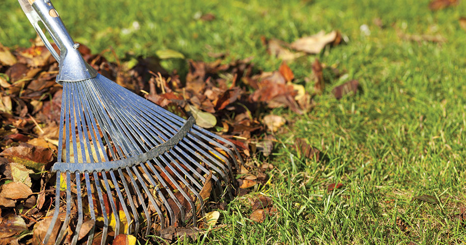 DPW yard waste drop-off extended to Dec. 9