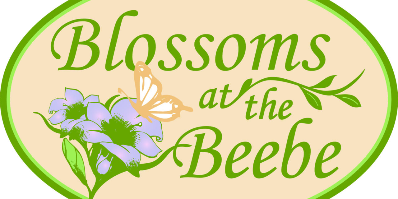 Get your Blossoms at the Beebe tickets Monday