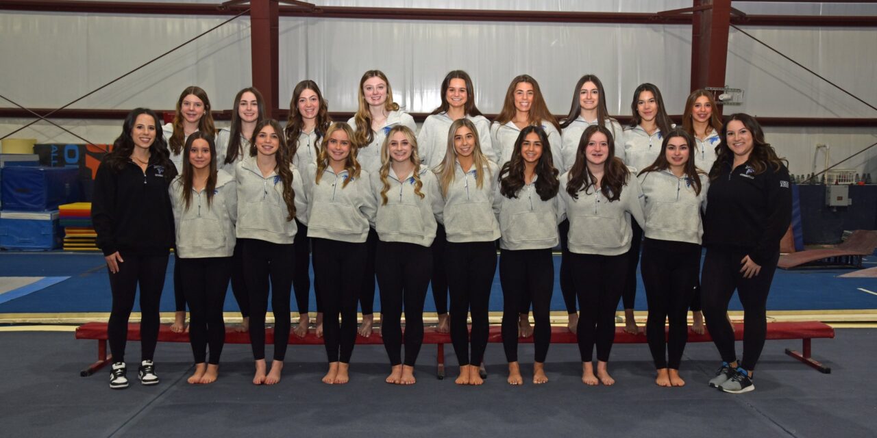 Danvers-Lynnfield gymnasts take 3rd at state finals