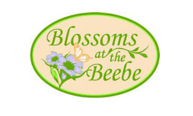 Karen Nascembeni named VIP for the ‘Blossoms at the Beebe’ April 27
