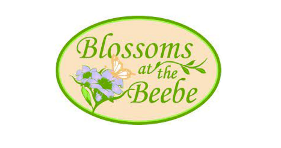 Karen Nascembeni named VIP for the ‘Blossoms at the Beebe’ April 27