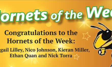 Hornets of the Week featured May 23, 2024