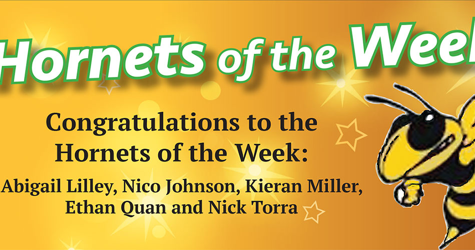Hornets of the Week featured May 23, 2024