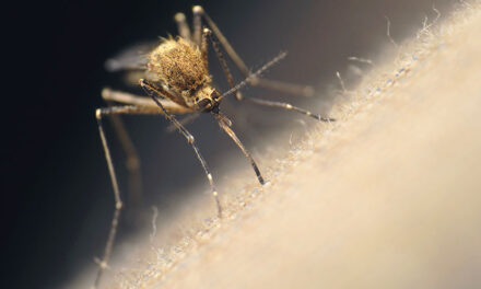 Public health presentation on mosquito and tick-borne disease prevention