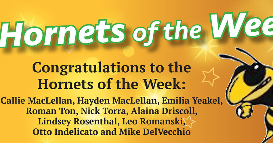 Hornets of the Week featured May 2, 2024