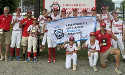 Melrose 12-year-old All-Stars are District 12 champions
