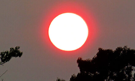 Red sun at night