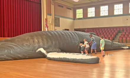 Whale Mobile at Memorial Hall