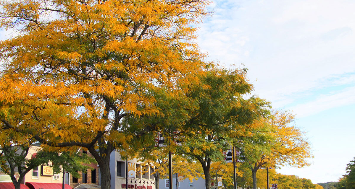 Fall is in the air on Main St.