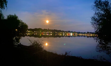 Orange moon rising