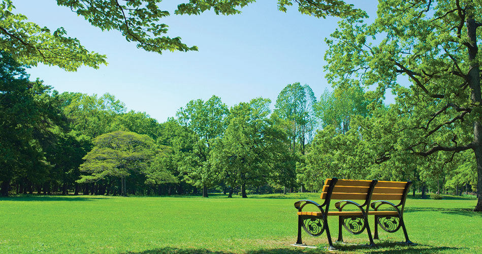 Brian Ambrefe bench dedication Sunday