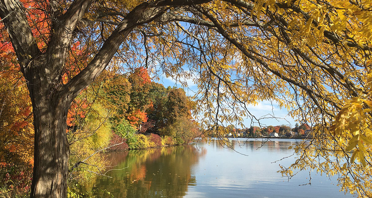 Autumn time in Wakefield