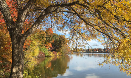 Autumn time in Wakefield