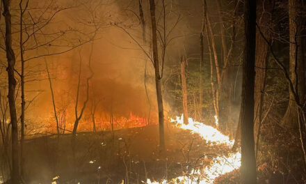 Teamwork was the strength behind Fire Department’s response to forest fires