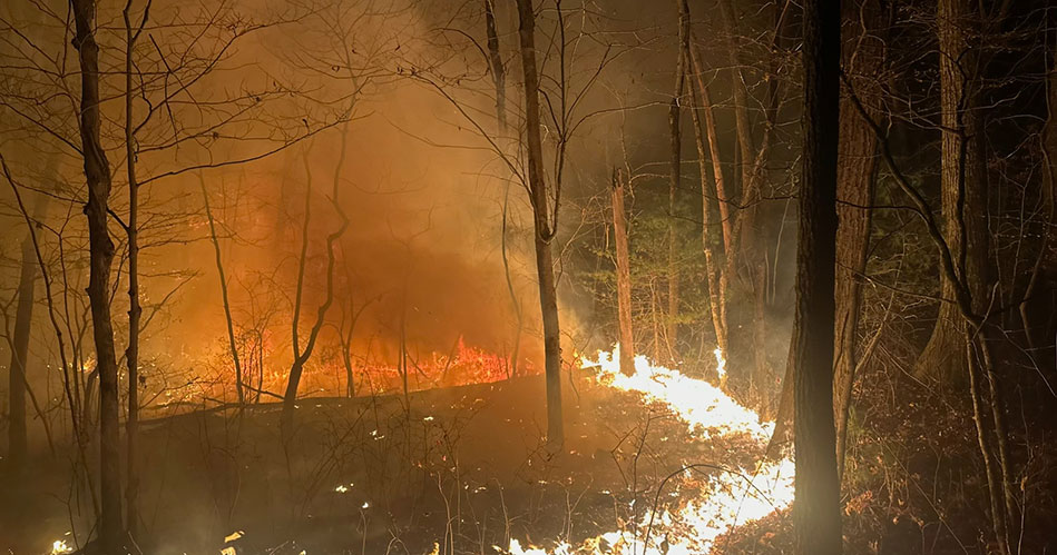 Teamwork was the strength behind Fire Department’s response to forest fires