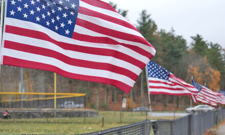 Flags flying in Pine Banks Park