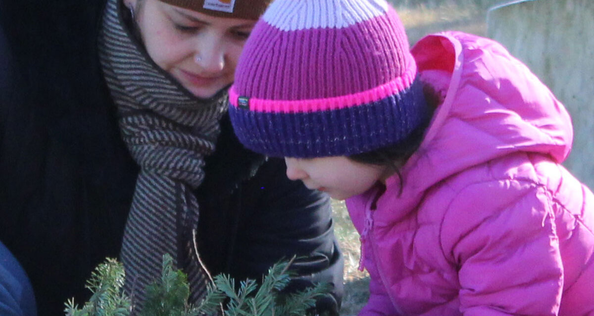 Wreaths placed on veterans’ graves on Saturday