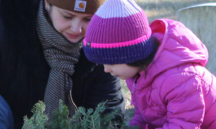 Wreaths placed on veterans’ graves on Saturday