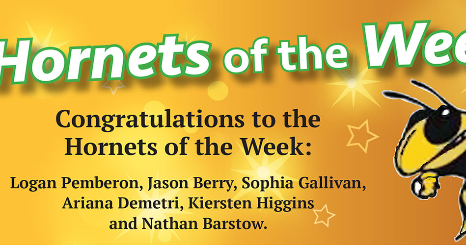 Hornets of the Week featured January 9, 2025